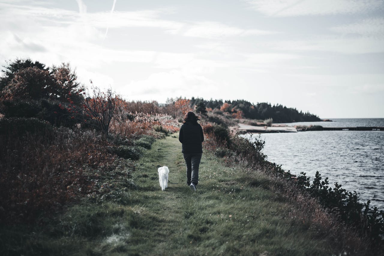 A serene walk along a scenic seashore path with a person and dog.